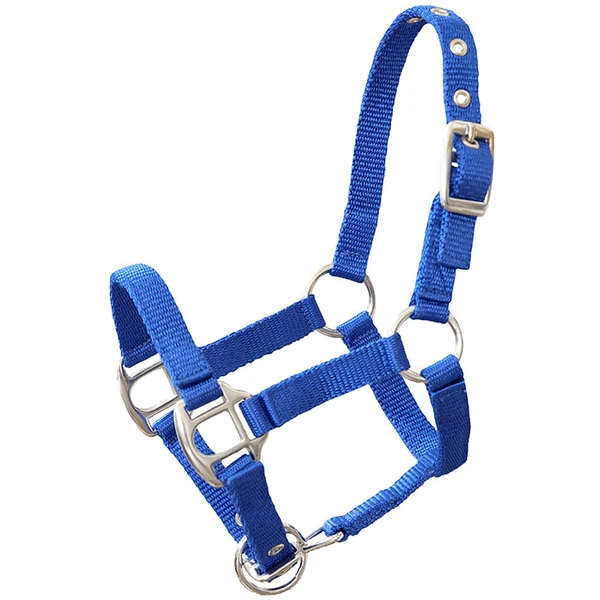 Helga Kreft Halfter Für Gartenpferde, Blau 1 Helga Kreft Halfter Für Gartenpferde, Blau