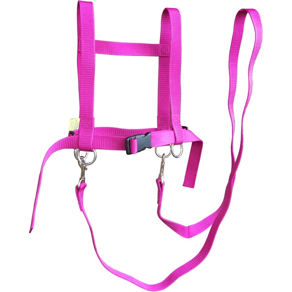 Helga Kreft Zügelmatz Pferdespielleine, Pink 1 Helga Kreft Zügelmatz Pferdespielleine, Pink