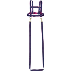 SPIEGELBURG COPPENRATH Pferdeleine Pferdefreunde